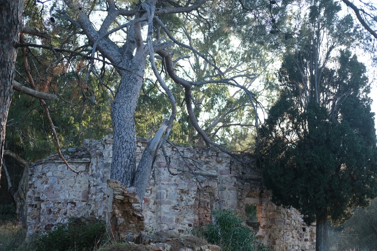 Çamlı Manastır (Taksiyarhis Ta Çamia)